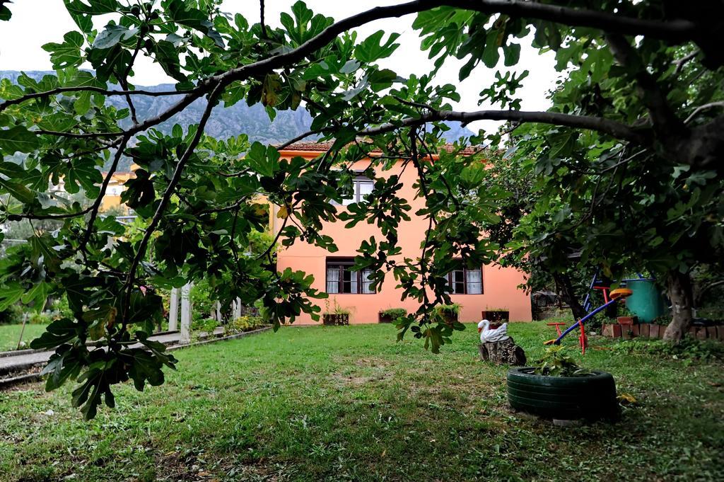 Apartments Vido Котор Экстерьер фото