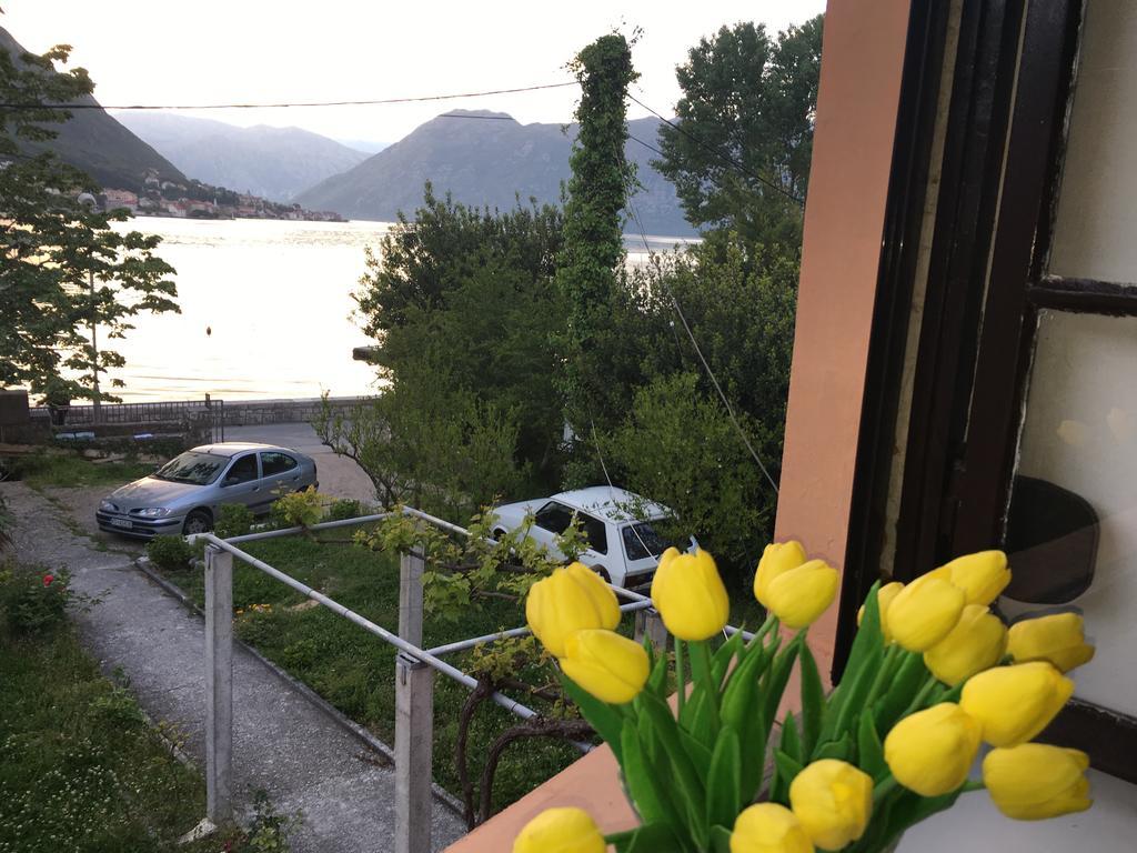 Apartments Vido Котор Экстерьер фото