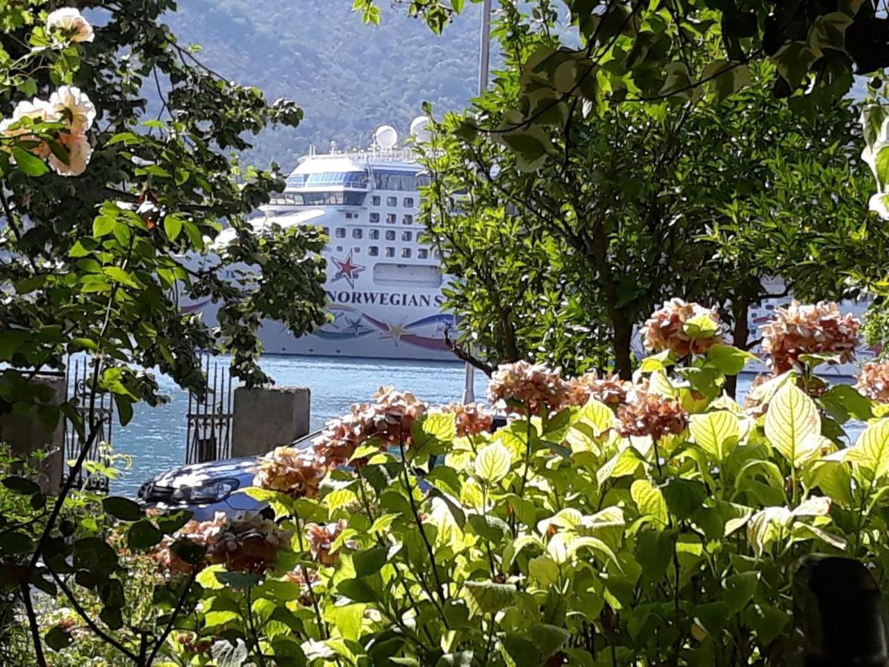 Apartments Vido Котор Экстерьер фото